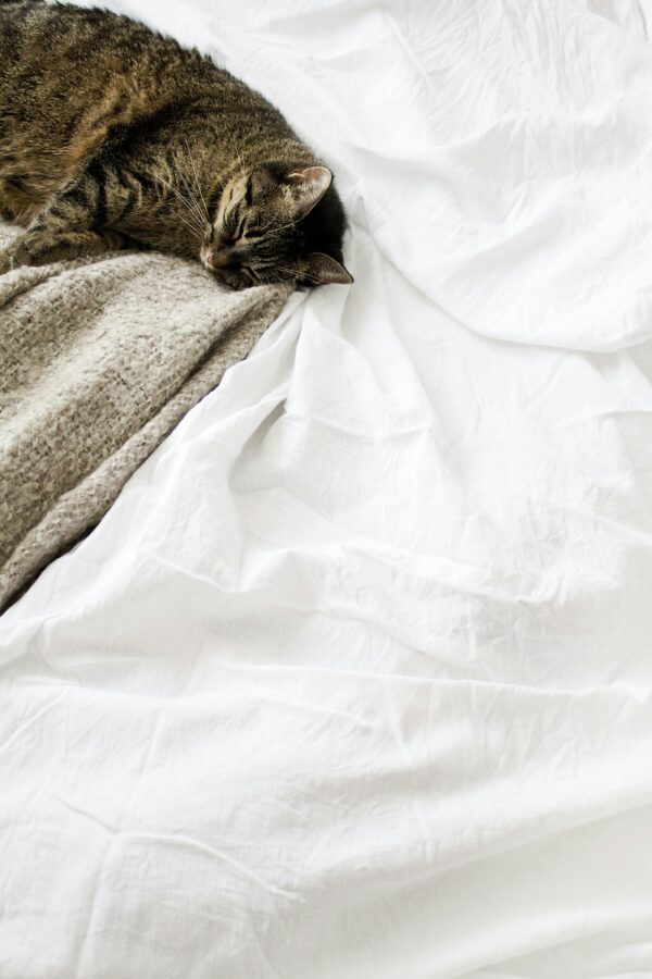 NATTJASMIN Fitted sheet, white, 180x200 cm - Image 2